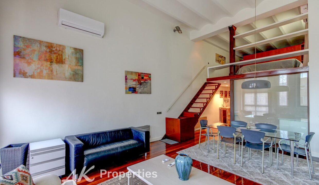 oportunidad-nica-en-barcelona-4097304-24b8689e-1.jpg