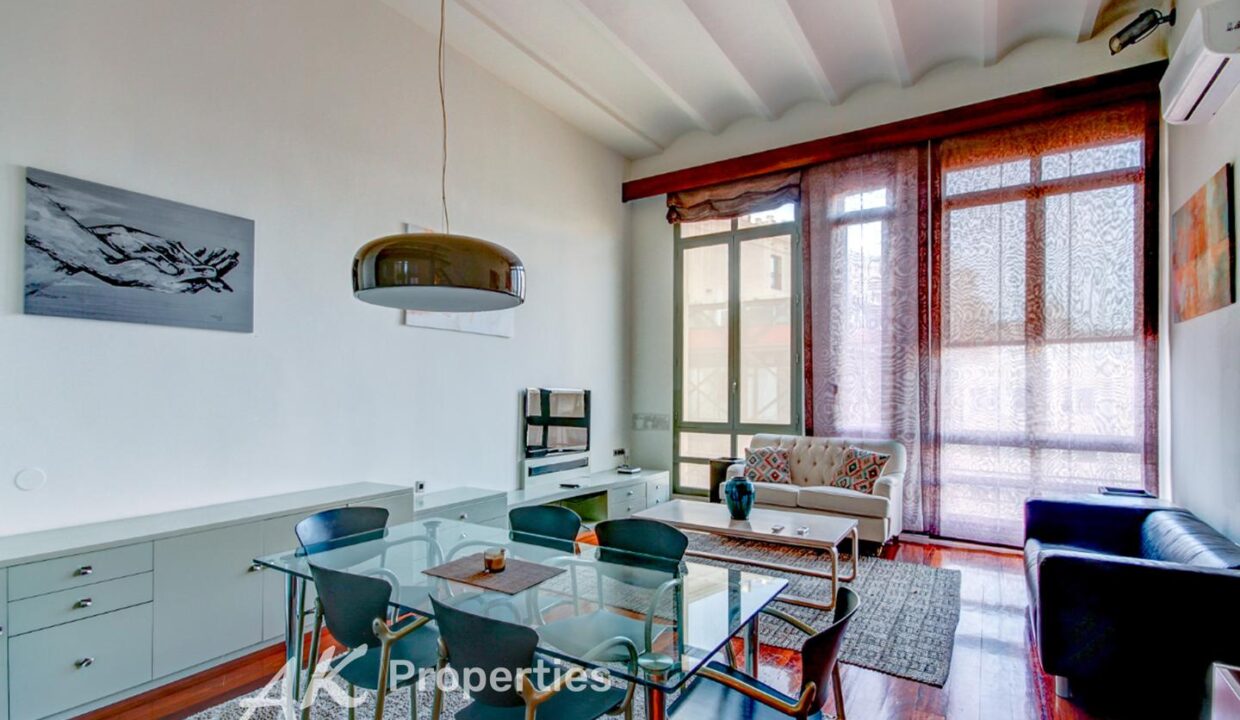 oportunidad-nica-en-barcelona-4097304-350db458-1.jpg