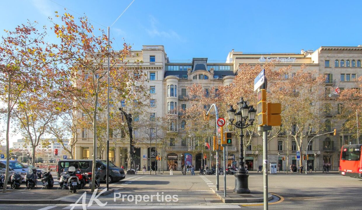 oportunidad-nica-en-barcelona-4097304-3cf27a9d-1.jpg
