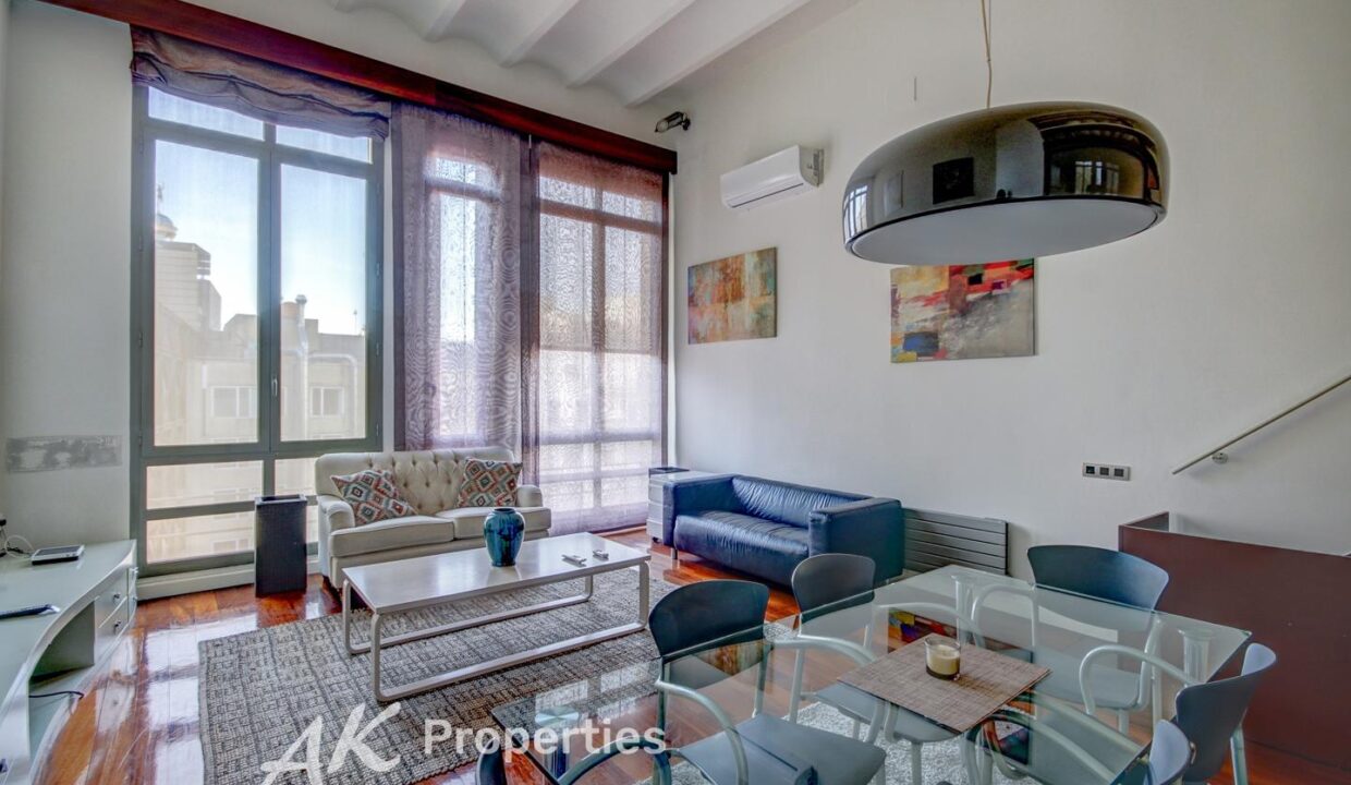 oportunidad-nica-en-barcelona-4097304-48ea2bc8-1.jpg