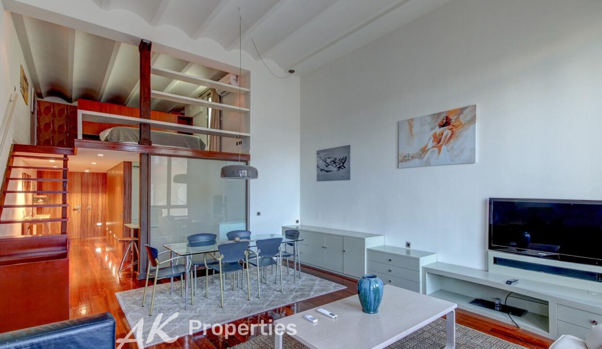 oportunidad-nica-en-barcelona-4097304-5435deda-1.jpg