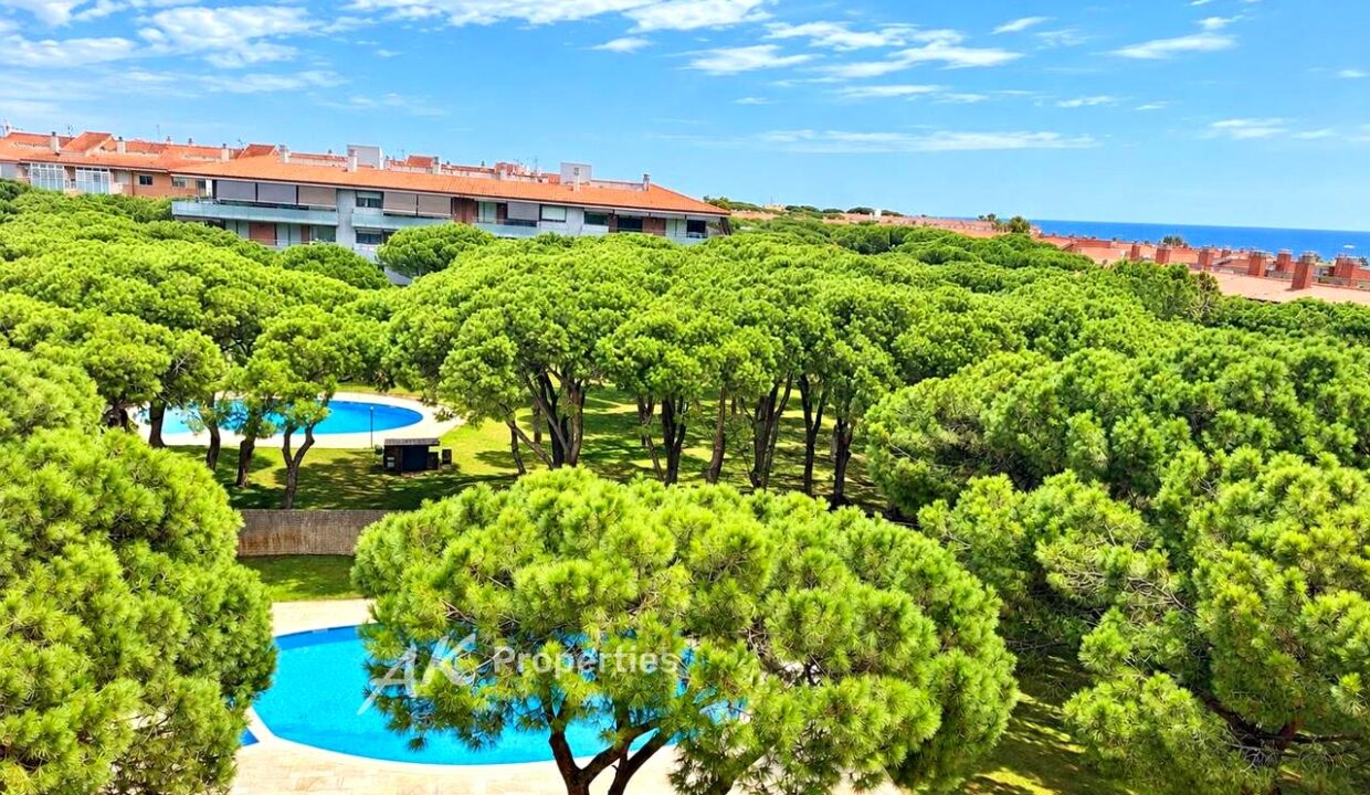 piso-con-terraza-piscina-parking-y-trast-48eaab40-0004288649-5.jpg